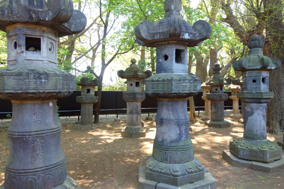 Lanterns - Ueno Tōshō-gū - DSC01975