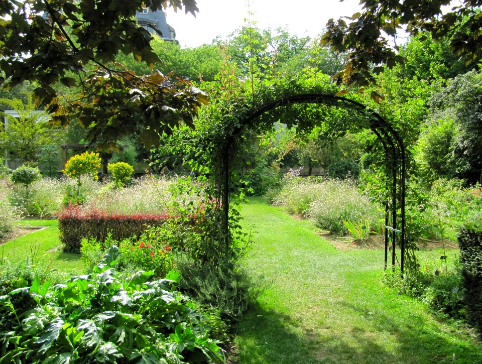 Le jardin aux iris du jardin des plantes
