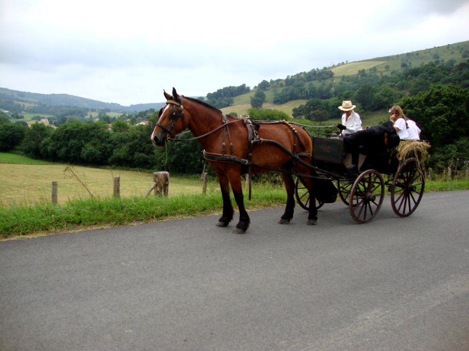 Lantabat (Pyr-Atl, Fr) Mariage en tradition Basque, chariot de la mariée
