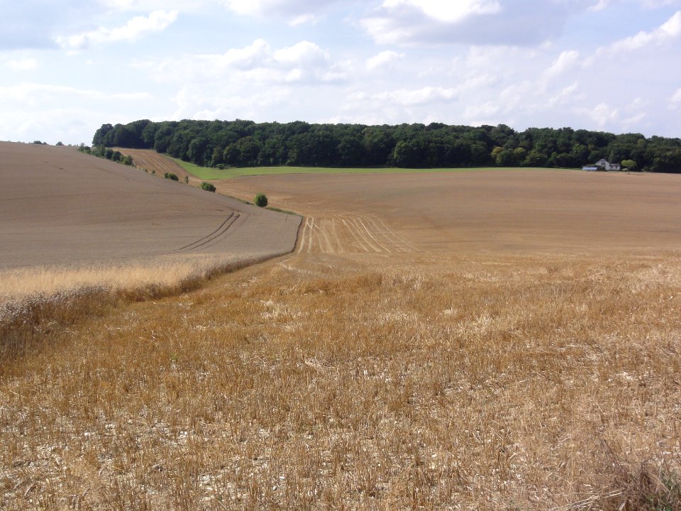 Le Verguier (Aisne) paysage