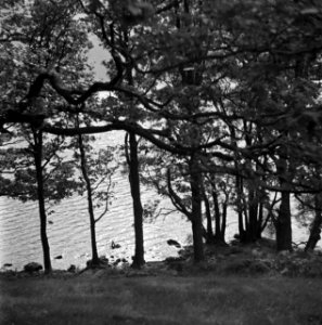 Landschappen, meren, bomen, lake district, Groot-Brittannië, Bestanddeelnr 254-2813