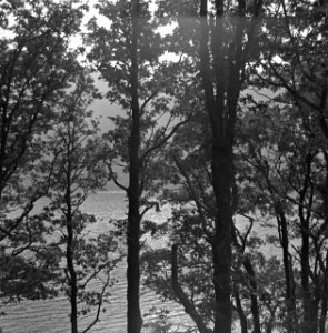 Landschappen, meren, bomen, lake district, Groot-Brittannië, Bestanddeelnr 254-2811