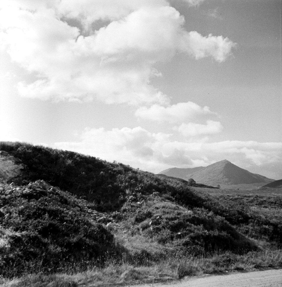 Landschappen, meren, bergen, bomen, lake district, Groot-Brittannië, Bestanddeelnr 254-2810