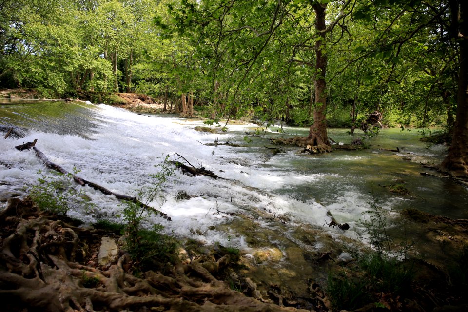 Le long du sentier du Lez