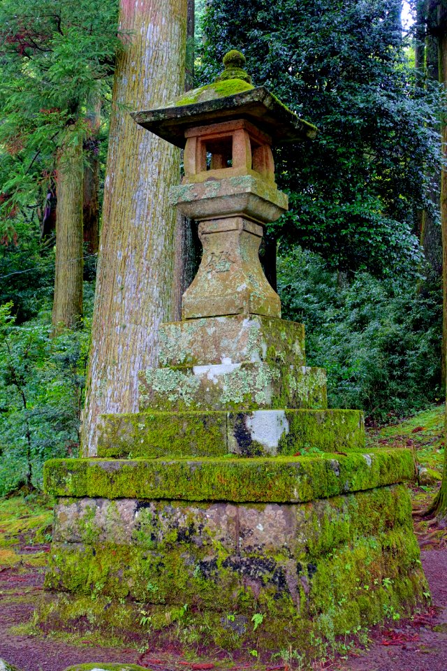 Lantern - Hakone-jinja - Hakone, Japan - DSC05699