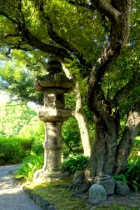 Lantern - Old Yasuda Garden - Tokyo, Japan - DSC06487