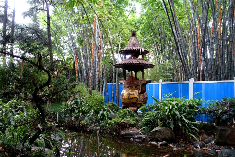 Lantern - Wangjianglou Park - Chengdu, China - DSC05874