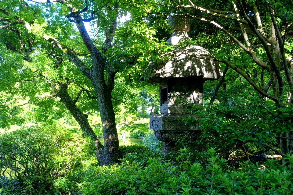 Lantern - Old Yasuda Garden - Tokyo, Japan - DSC06429