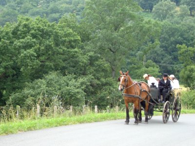 Lantabat (Pyr-Atl, Fr) Mariage en tradition Basque, la mariée vient en chariot