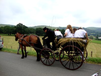 Lantabat (Pyr-Atl, Fr) Mariage en tradition basque, le chariot de la mariée avec des bottes de lin