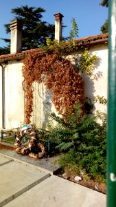 Lapide commemorativa fucilati 18 dicembre 1944