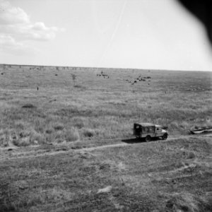 Landschappen, overzichten, auto's, Bestanddeelnr 250-8483