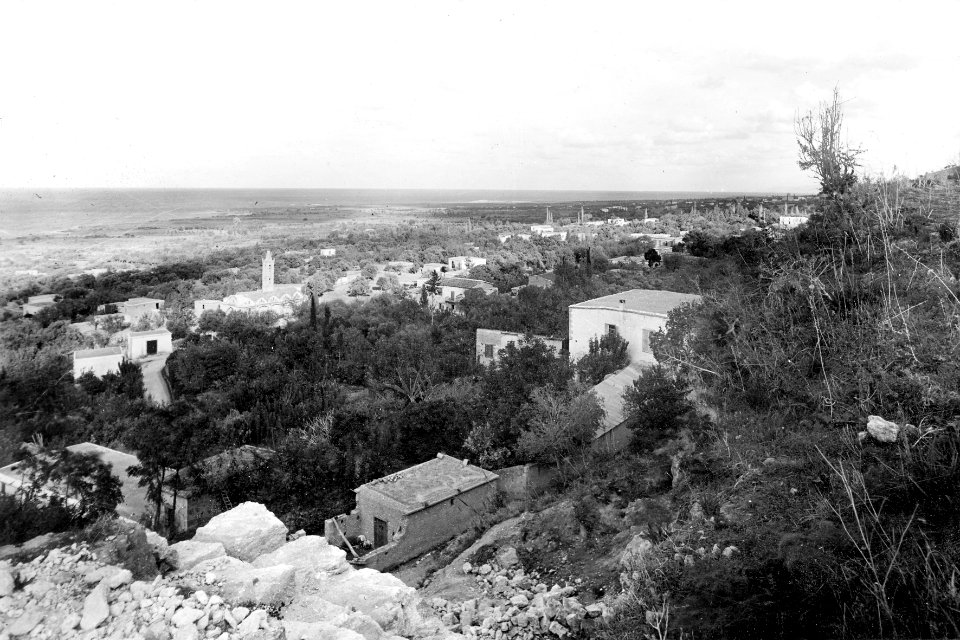 Lapithos. Utsikt mot öster - SMVK - C06275
