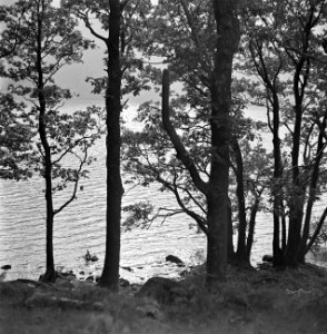 Landschappen, meren, bomen, lake district, Groot-Brittannië, Bestanddeelnr 254-2812