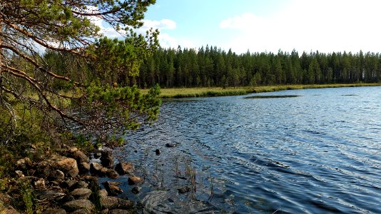 Lapinlammit Utajärvi