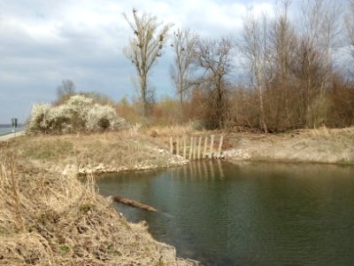 Langes Loch Nord, Grobrechen Schlute (4)