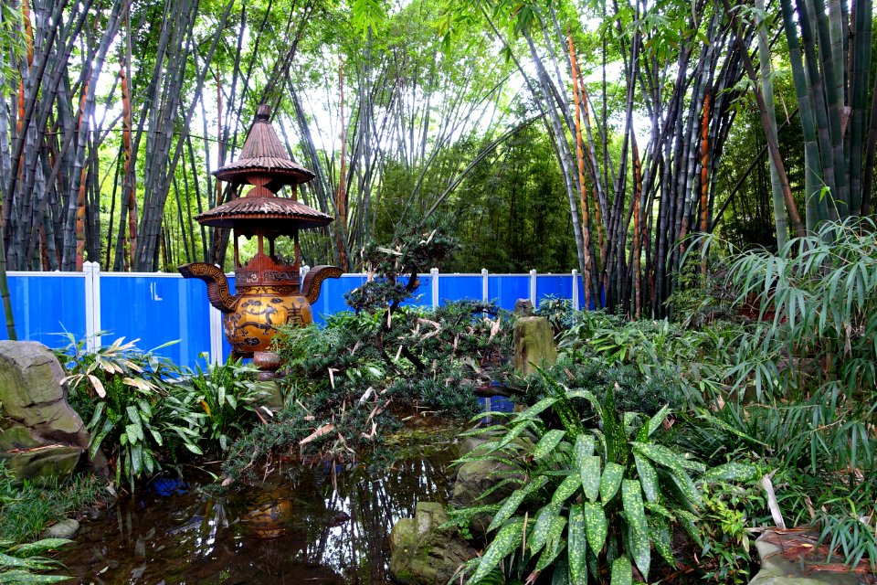 Lantern - Wangjianglou Park - Chengdu, China - DSC06122