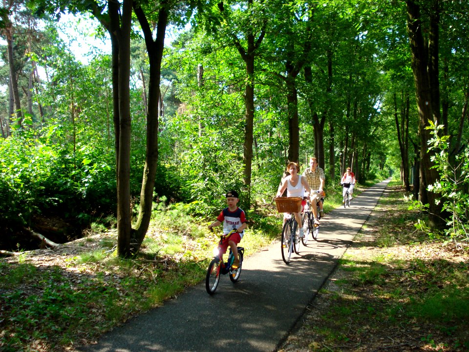 Langenboom, cyclotourisme en forêt de langenboom
