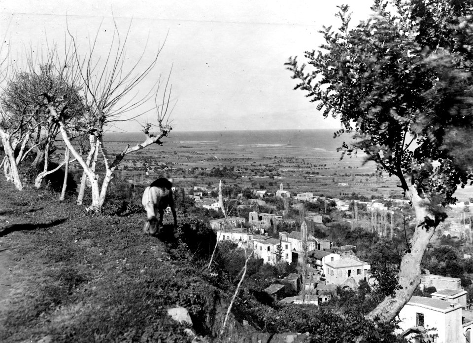 Lapithos, No. 406-65 - SMVK - C00325