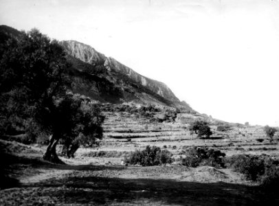 Lapithos, Plakes, landskapsbild från NO - SMVK - C00798