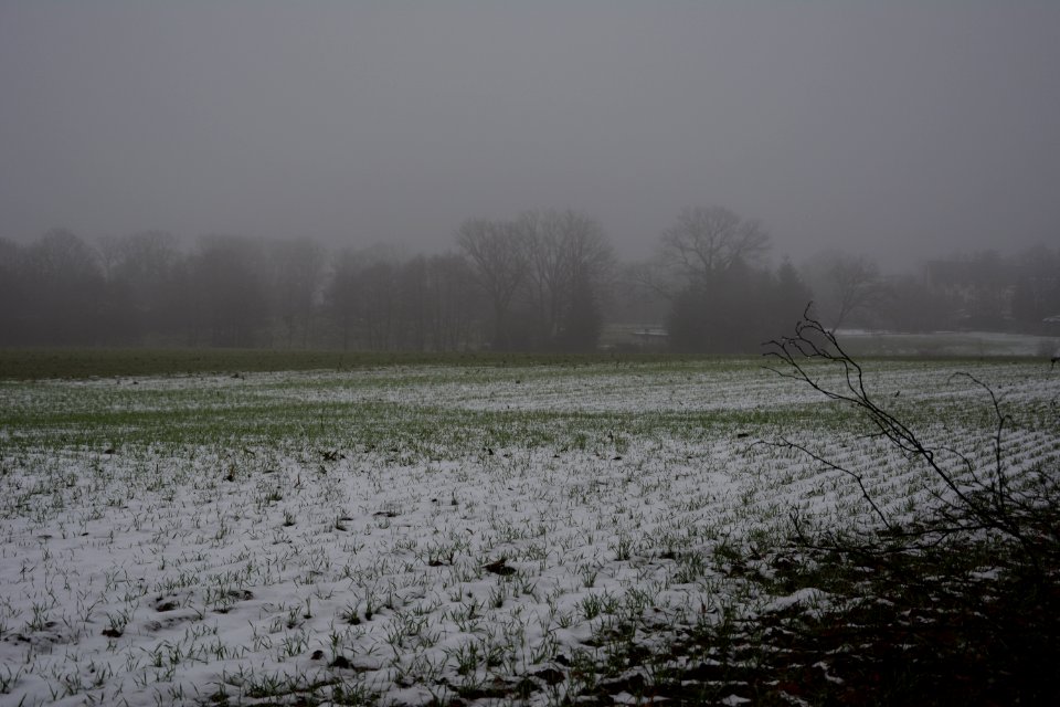 Langebrück bei Dresden - Feld mit Schnee im Nebel