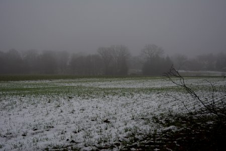 Langebrück bei Dresden - Feld mit Schnee im Nebel