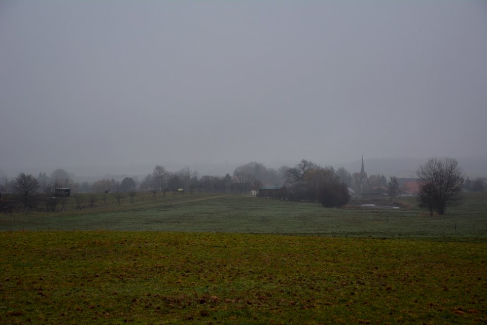 Langebrück bei Dresden - Nebel