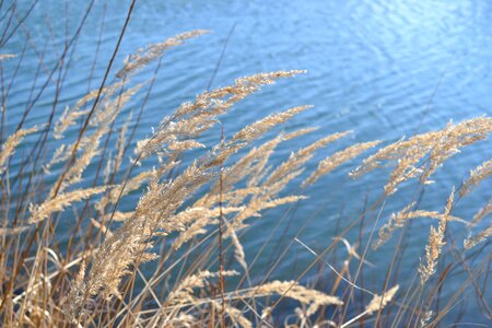 Bank landscape water