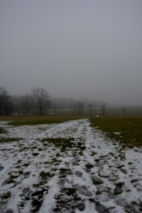 Langebrück bei Dresden - Schnee auf Feldweg hochkant