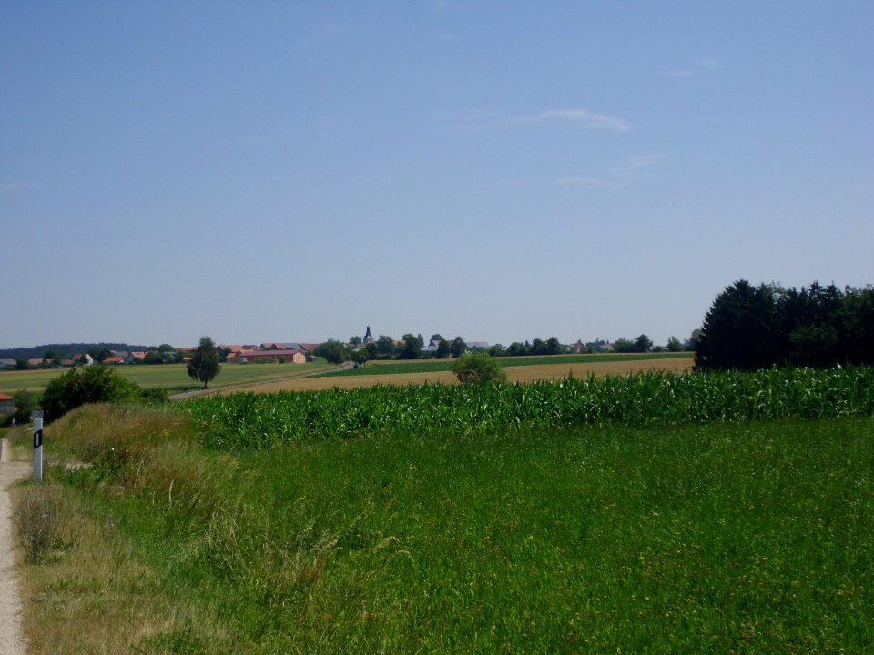 Langenthonhausen 2013-07 (4)