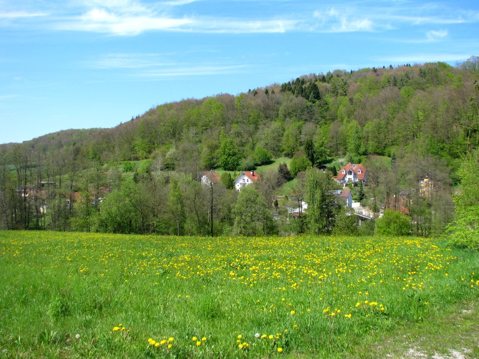 Langenthal (Berg bei Neumarkt-Opf.) (2)