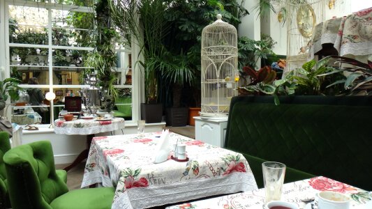 Breakfast table green