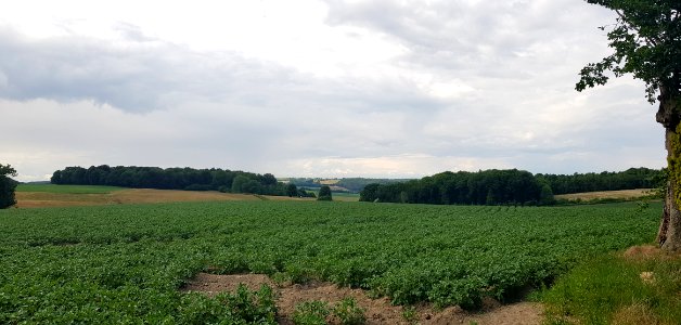 Landsrade-Groote Bosch (3)