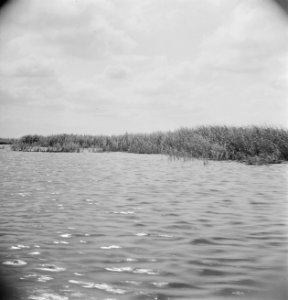 Landschap met water, Bestanddeelnr 191-0695