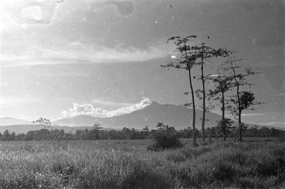 Landschap met zicht op Gunung Salak, Bestanddeelnr 119-4-2