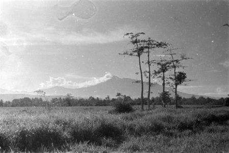 Landschap met zicht op Gunung Salak, Bestanddeelnr 119-4-1