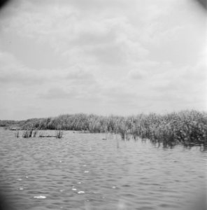 Landschap met water, Bestanddeelnr 191-0694