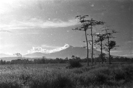 Landschap met zicht op Gunung Salak, Bestanddeelnr 119-4-3