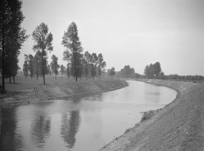 Landschappen, kanalen, bomen, Bestanddeelnr 253-6584