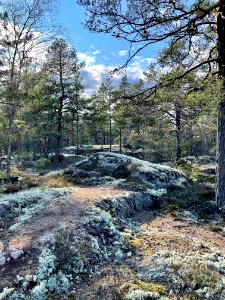 Landskap i Utterviks naturreservat 2021