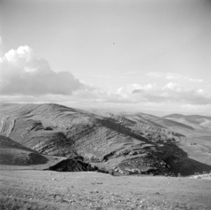 Landschap nabij Jericho, Bestanddeelnr 255-5133