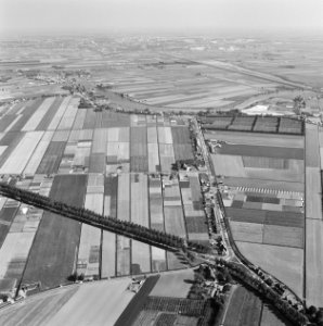 Landschappen, bomen, gebouwen, Bestanddeelnr 251-3113