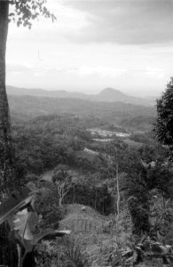 Landschap Soebang (Subang), Bestanddeelnr 3049