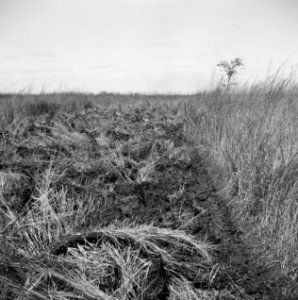 Landschappen, Bestanddeelnr 250-8479