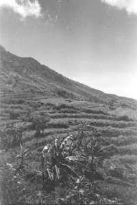 Landschap Panorama, Bestanddeelnr 330-3-4