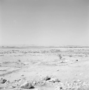 Landschap rondom de kibboets, die net zichtbaar is aan de horizon, Bestanddeelnr 255-3340
