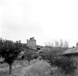 Landschap rond Châteauneuf-du-Pape, met cypressen, olijfbomen en op de heuvel de, Bestanddeelnr 254-0254