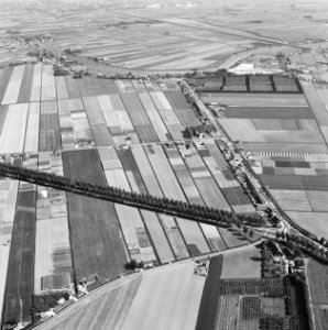 Landschappen, bomen, gebouwen, Bestanddeelnr 251-3112
