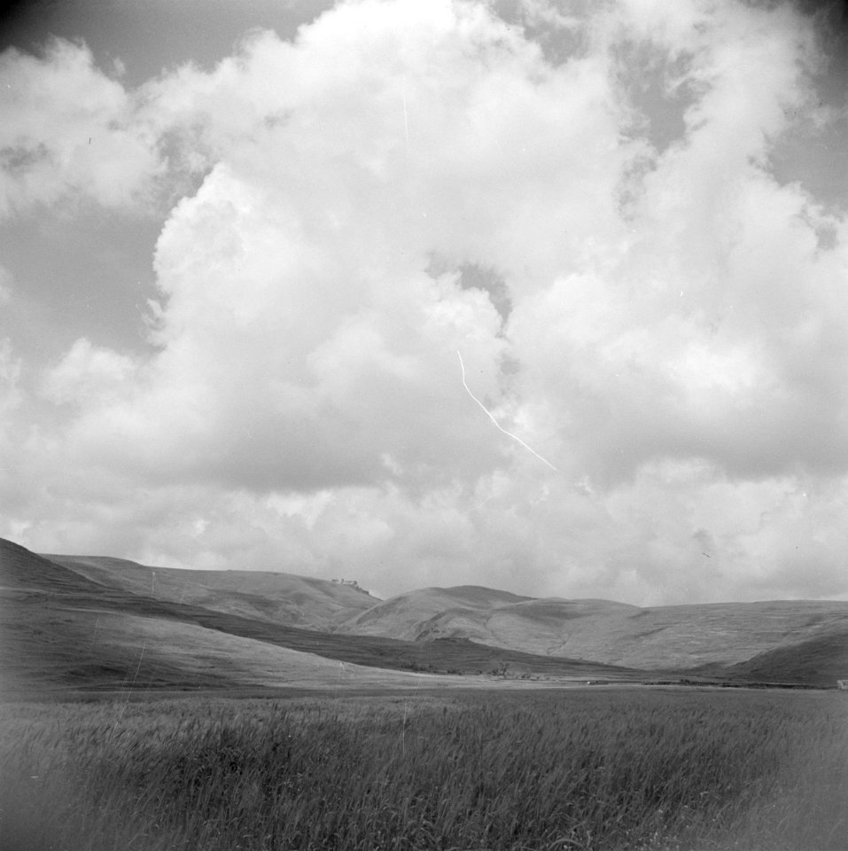 Landschap nabij Safita, Bestanddeelnr 255-6018