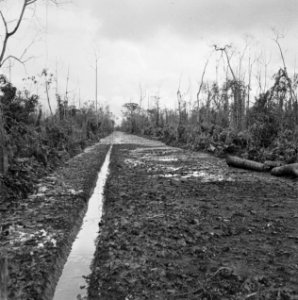 Landschappen, Bestanddeelnr 250-8361